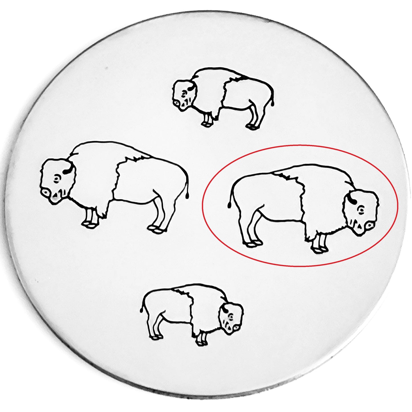 Buffalo
