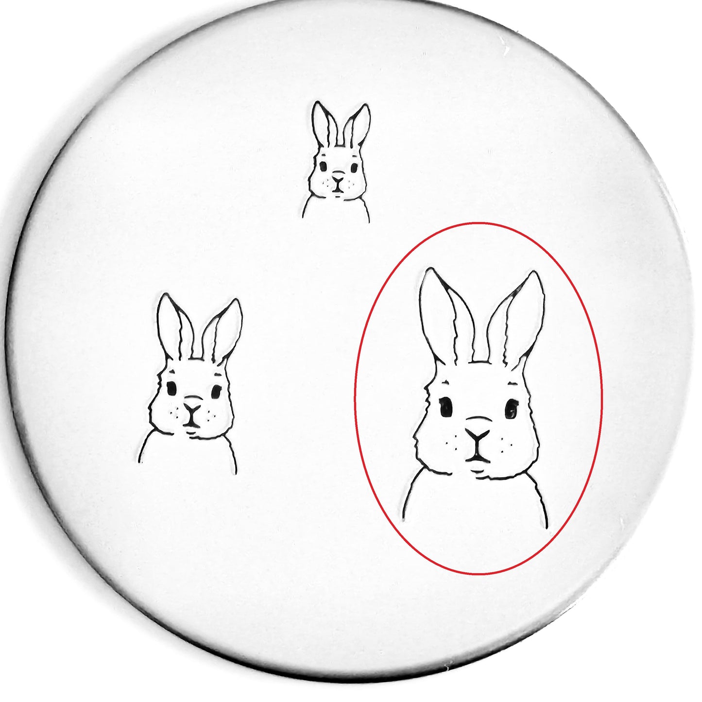 Bunny #02