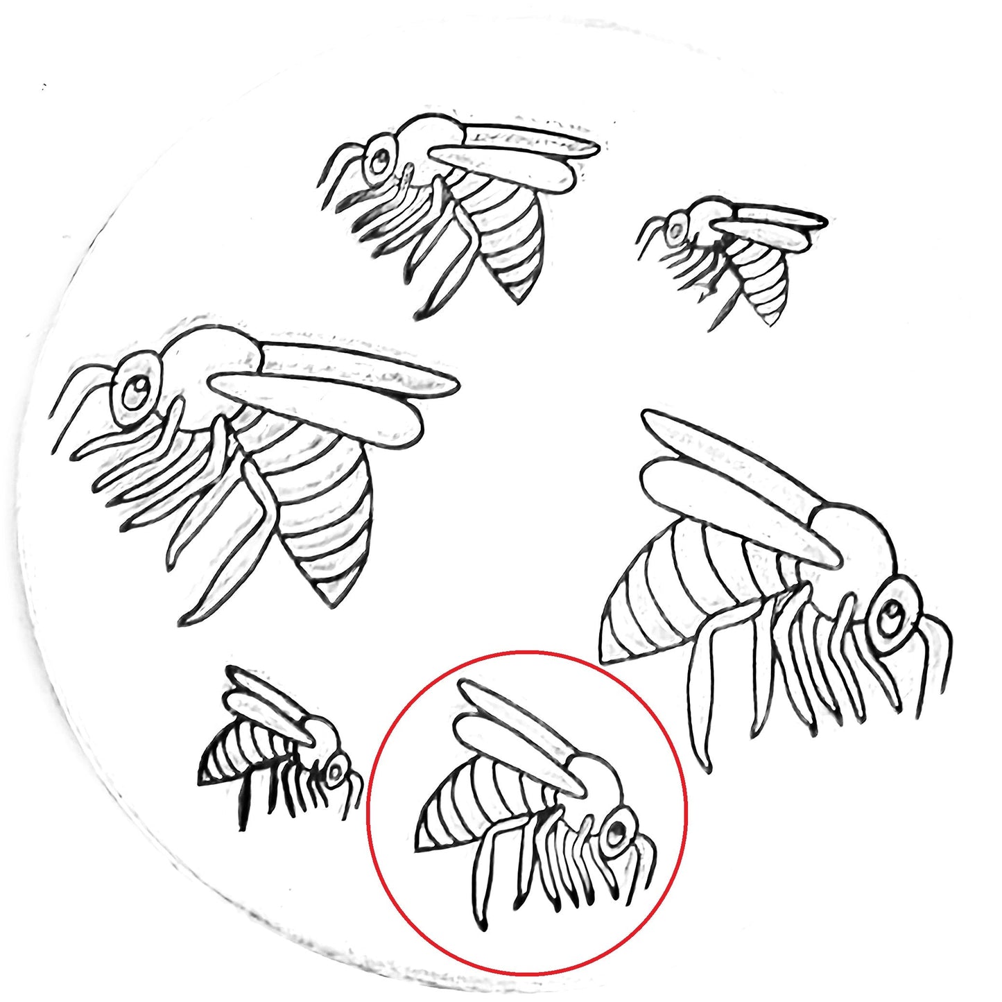 Bee #02