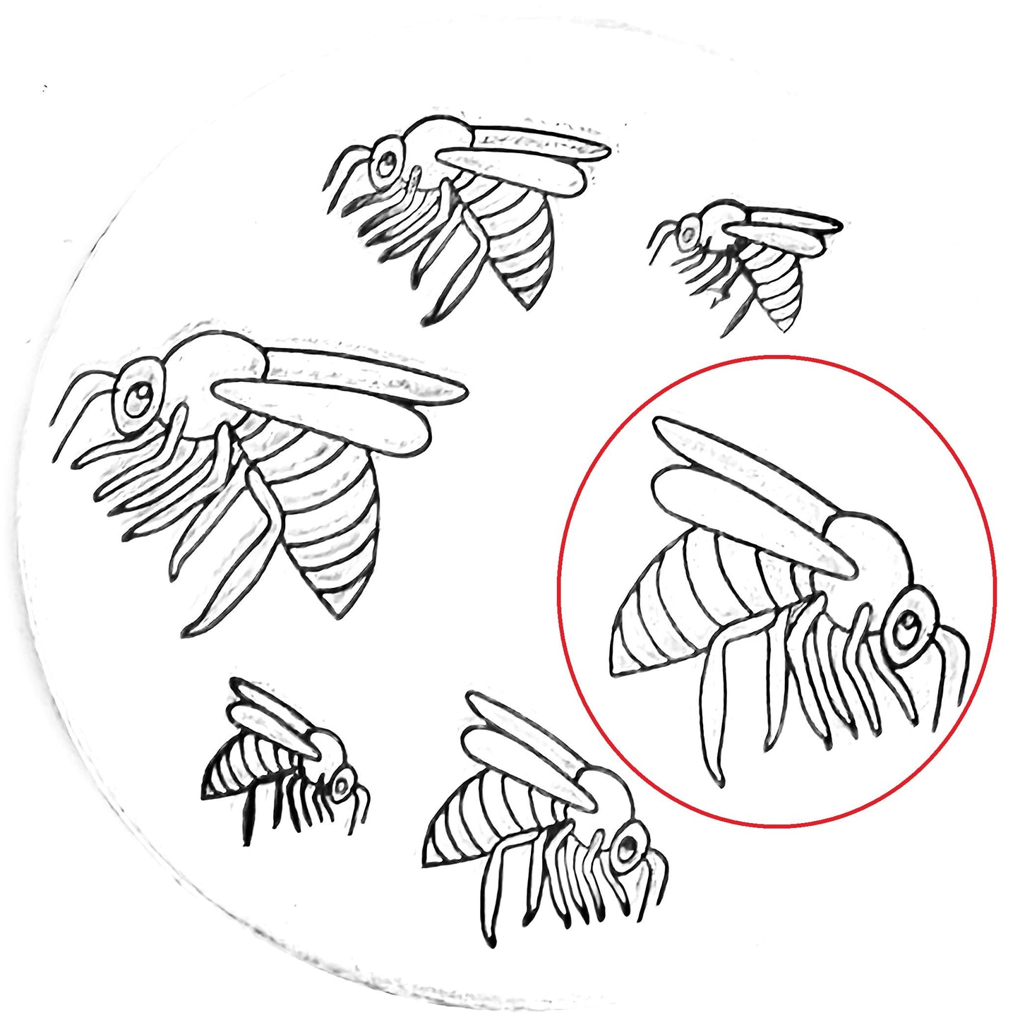 Bee #02