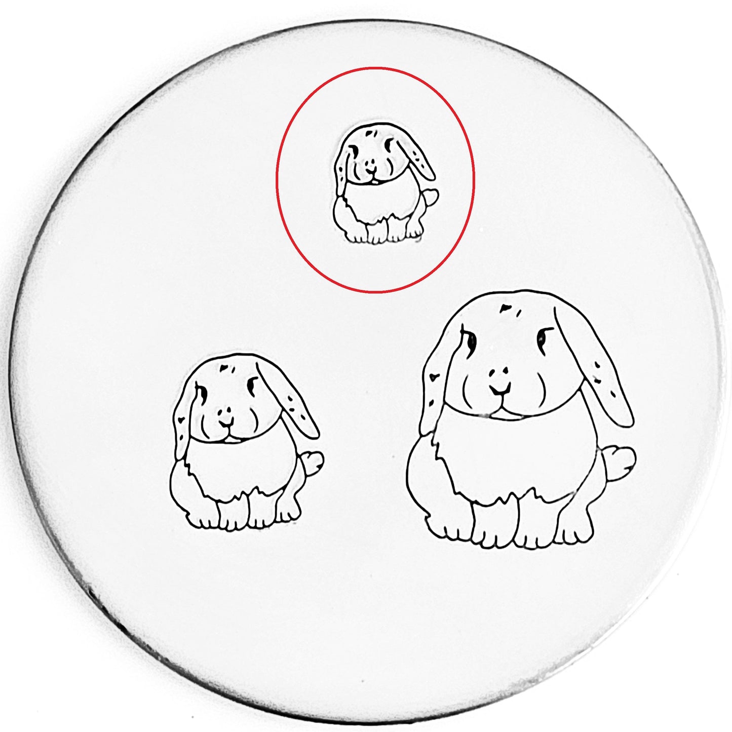 Bunny