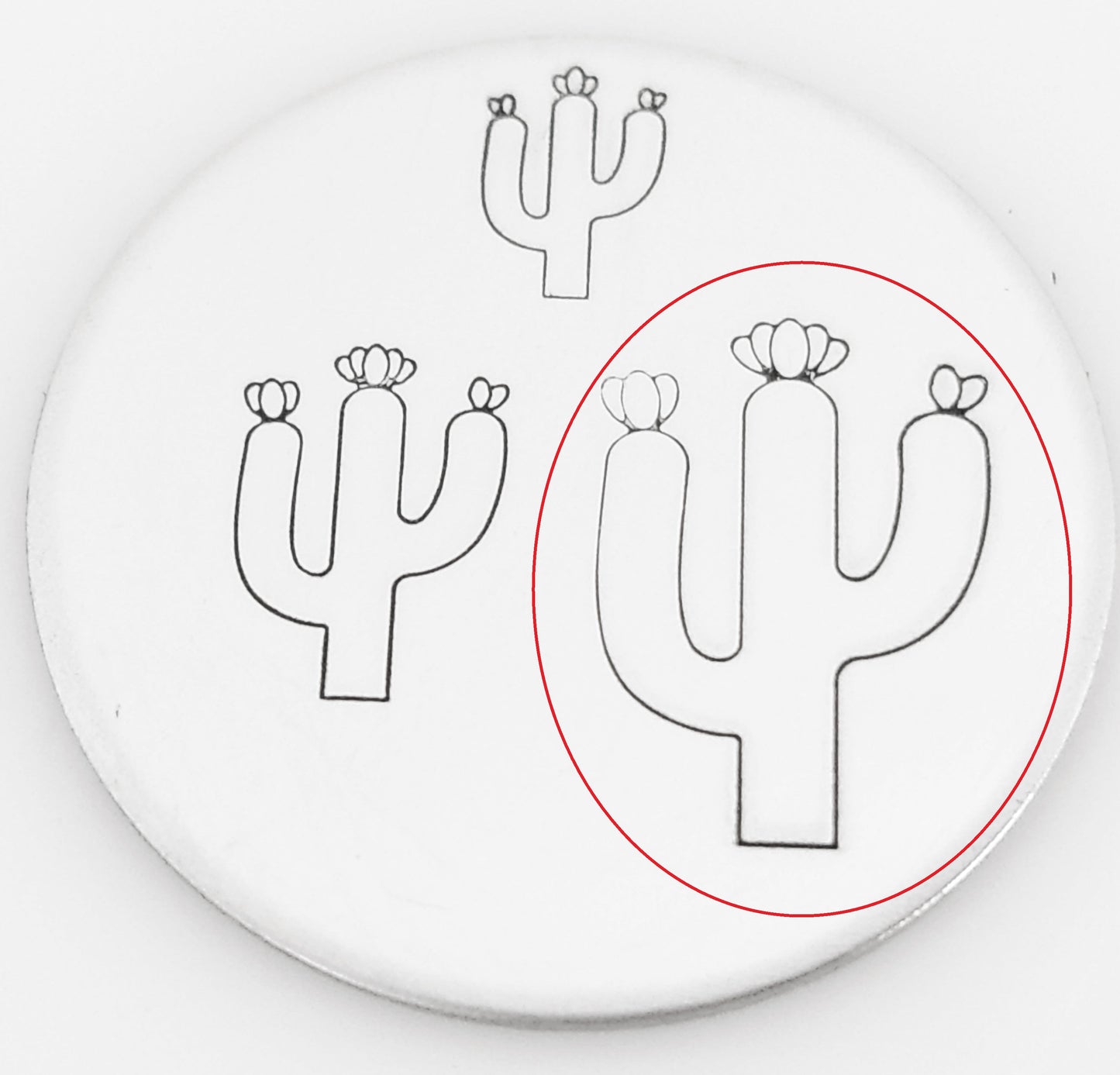 Cactus #02