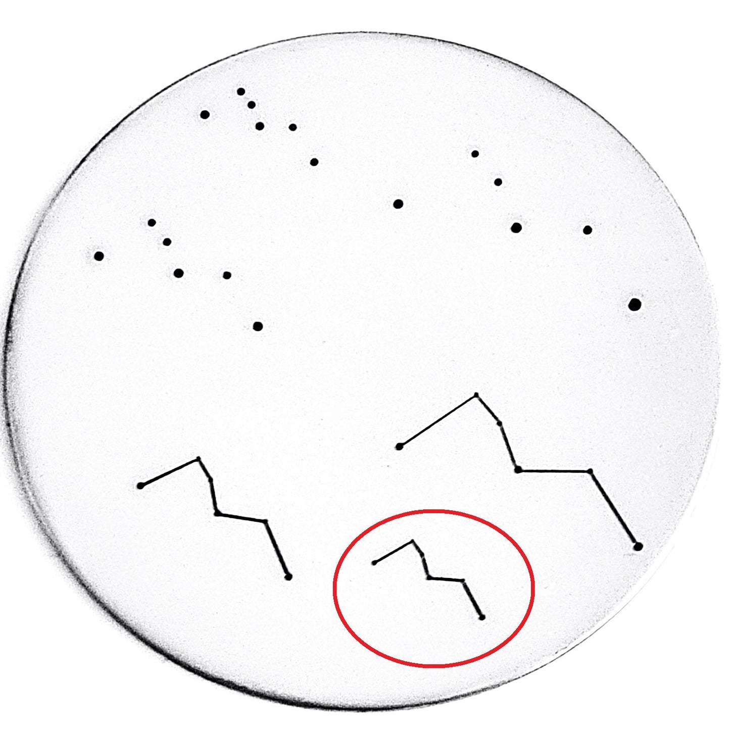 Cassiopeia