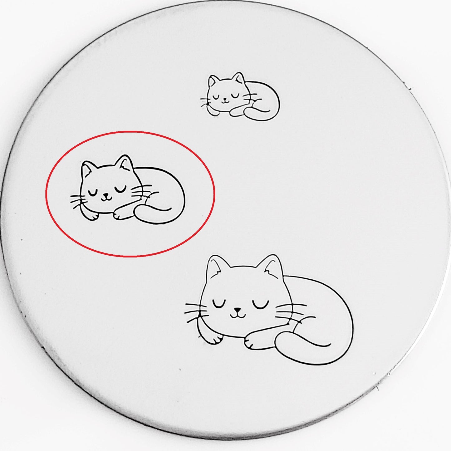 Cute Cats