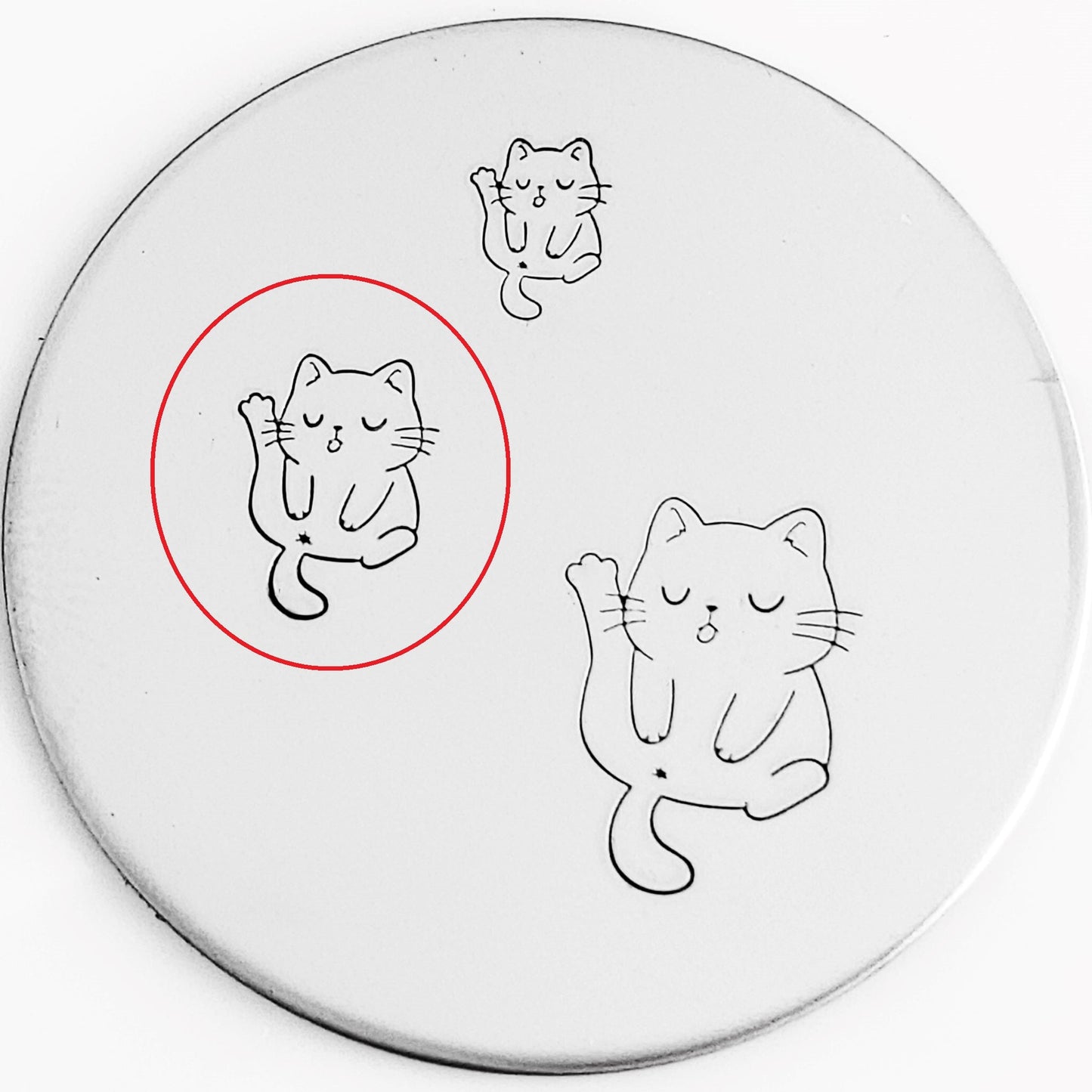 Cute Cats
