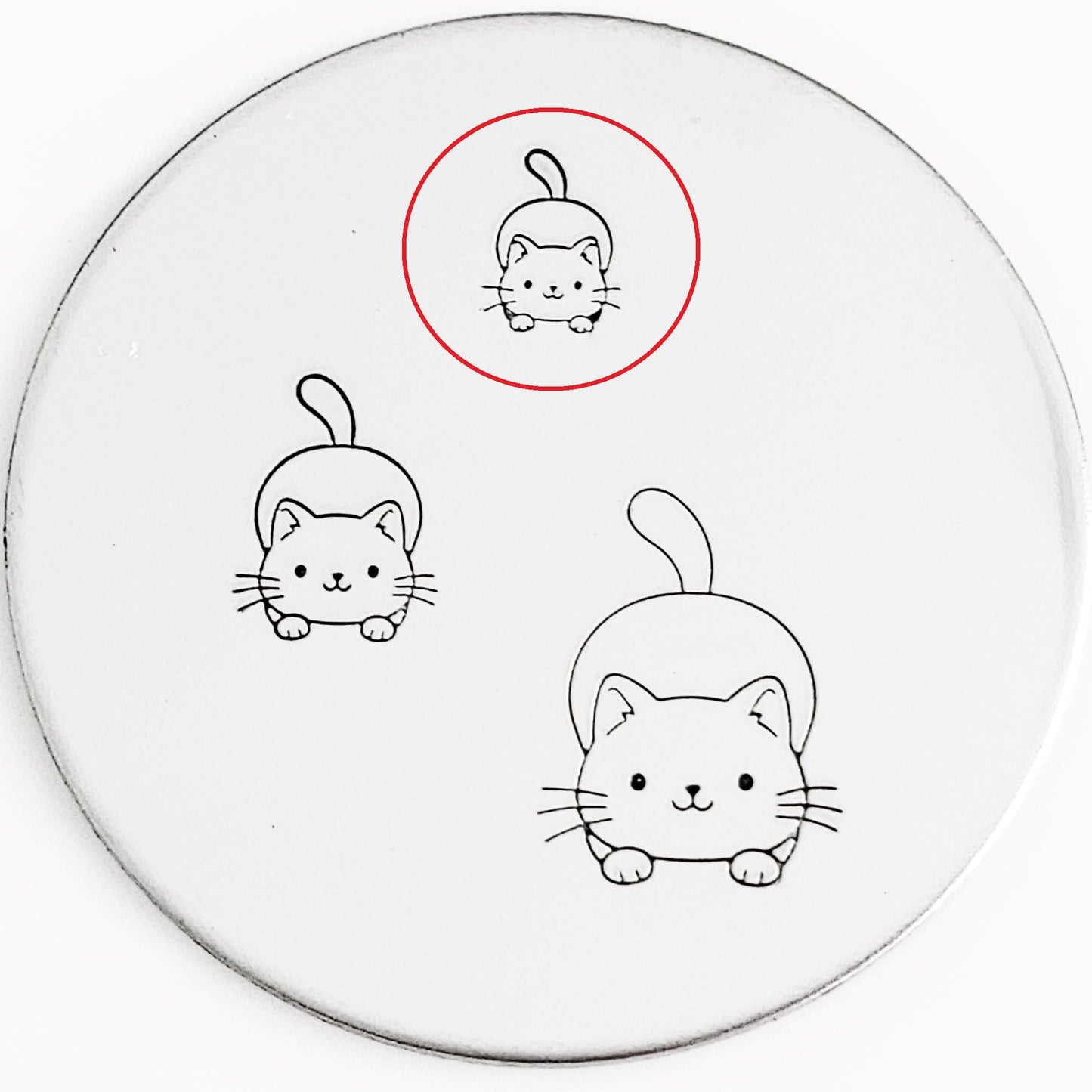 Cute Cats