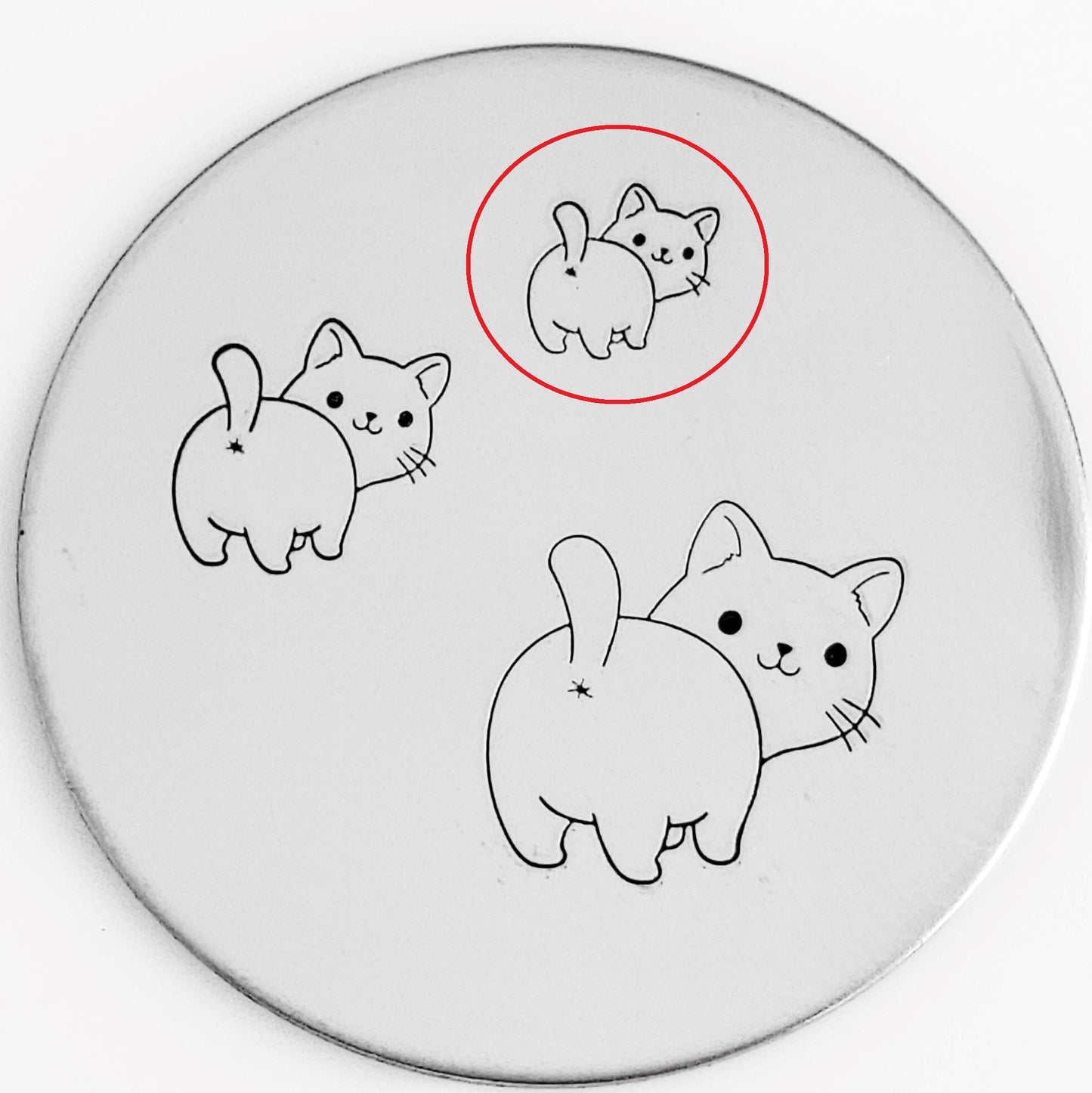 Cute Cats