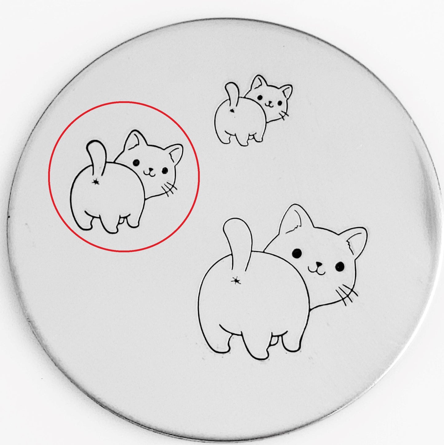 Cute Cats