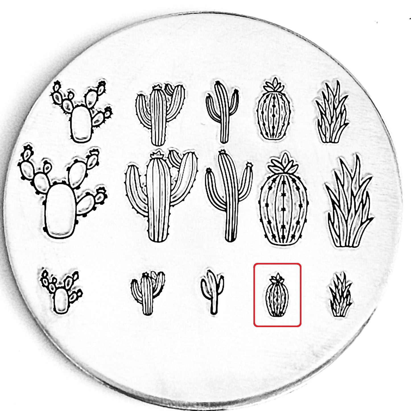Cactus #08