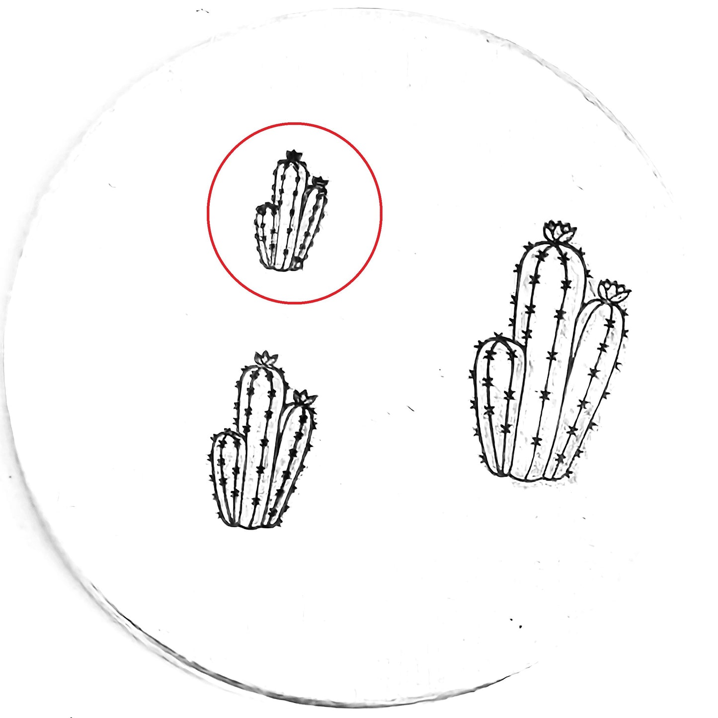Cactus #10
