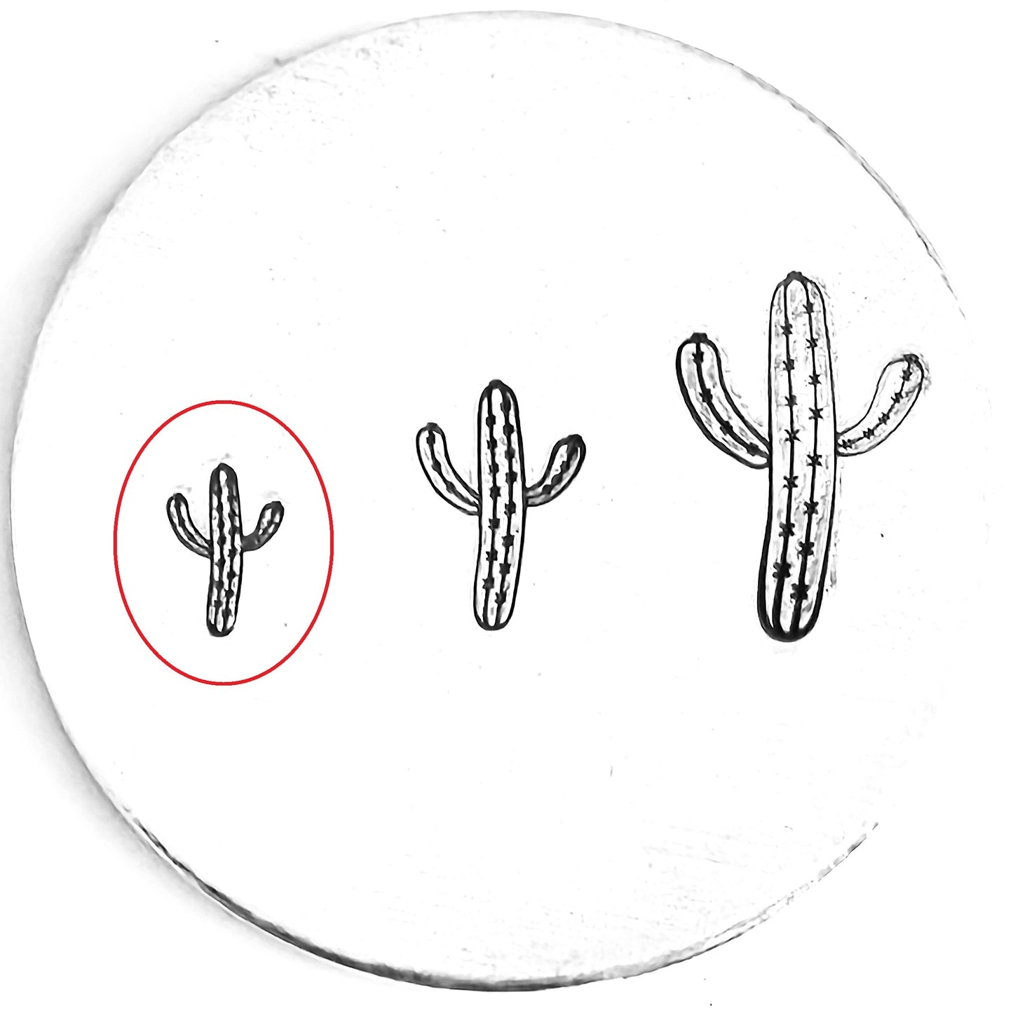 Cactus #11