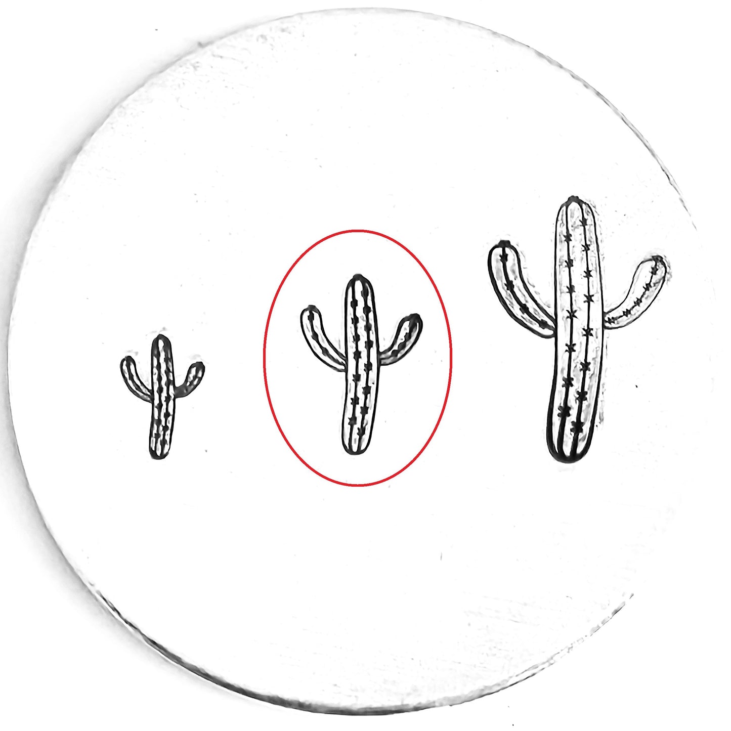 Cactus #11