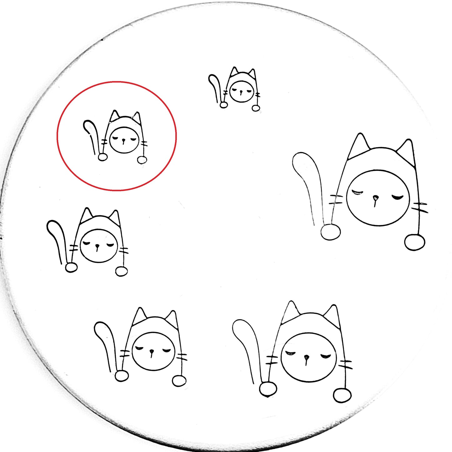 Pocket Cat #12