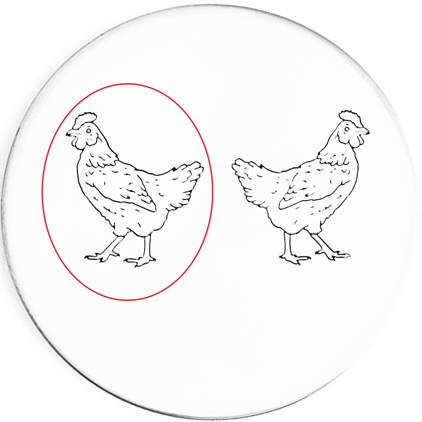 Chicken #02