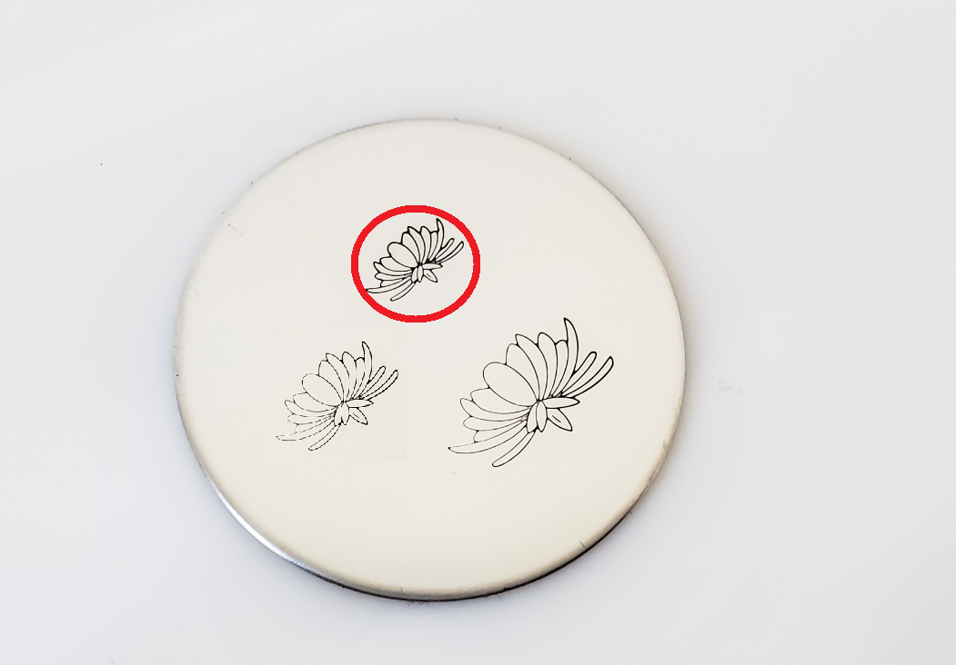 Chrysanthemum