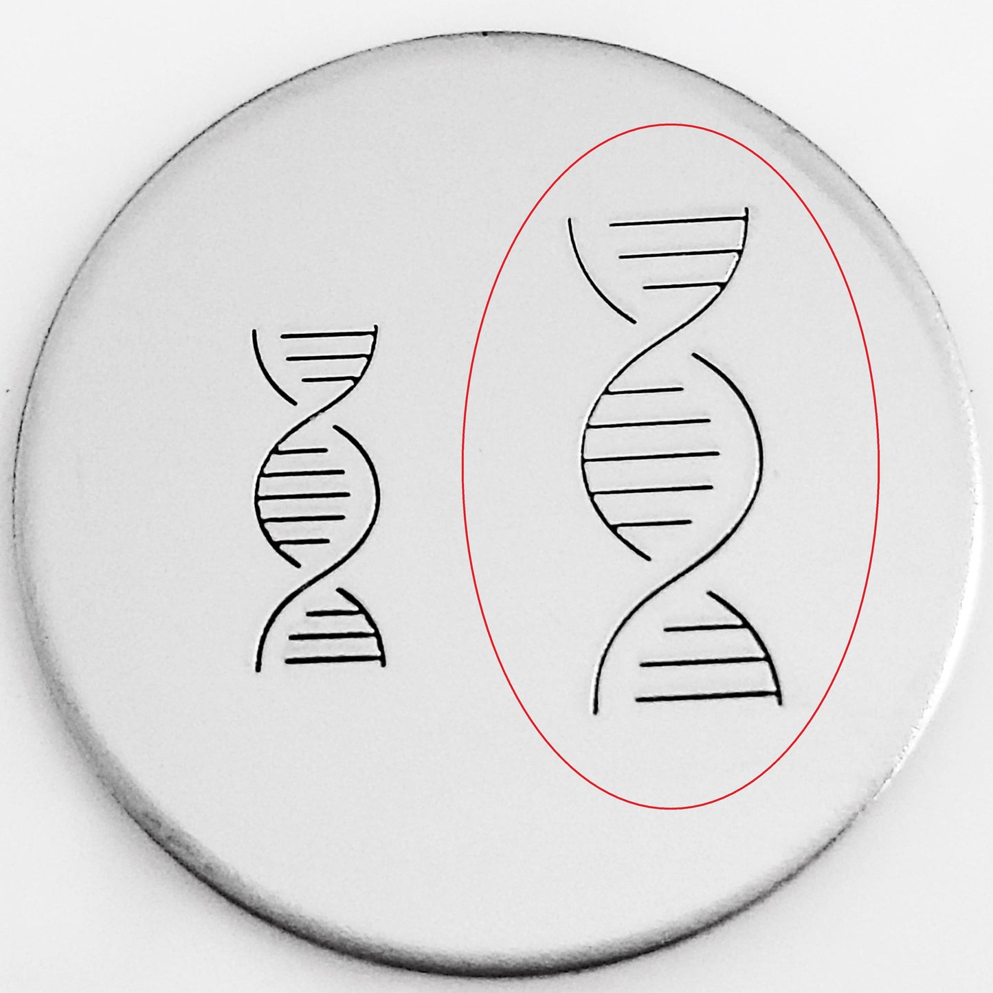 Double Helix DNA