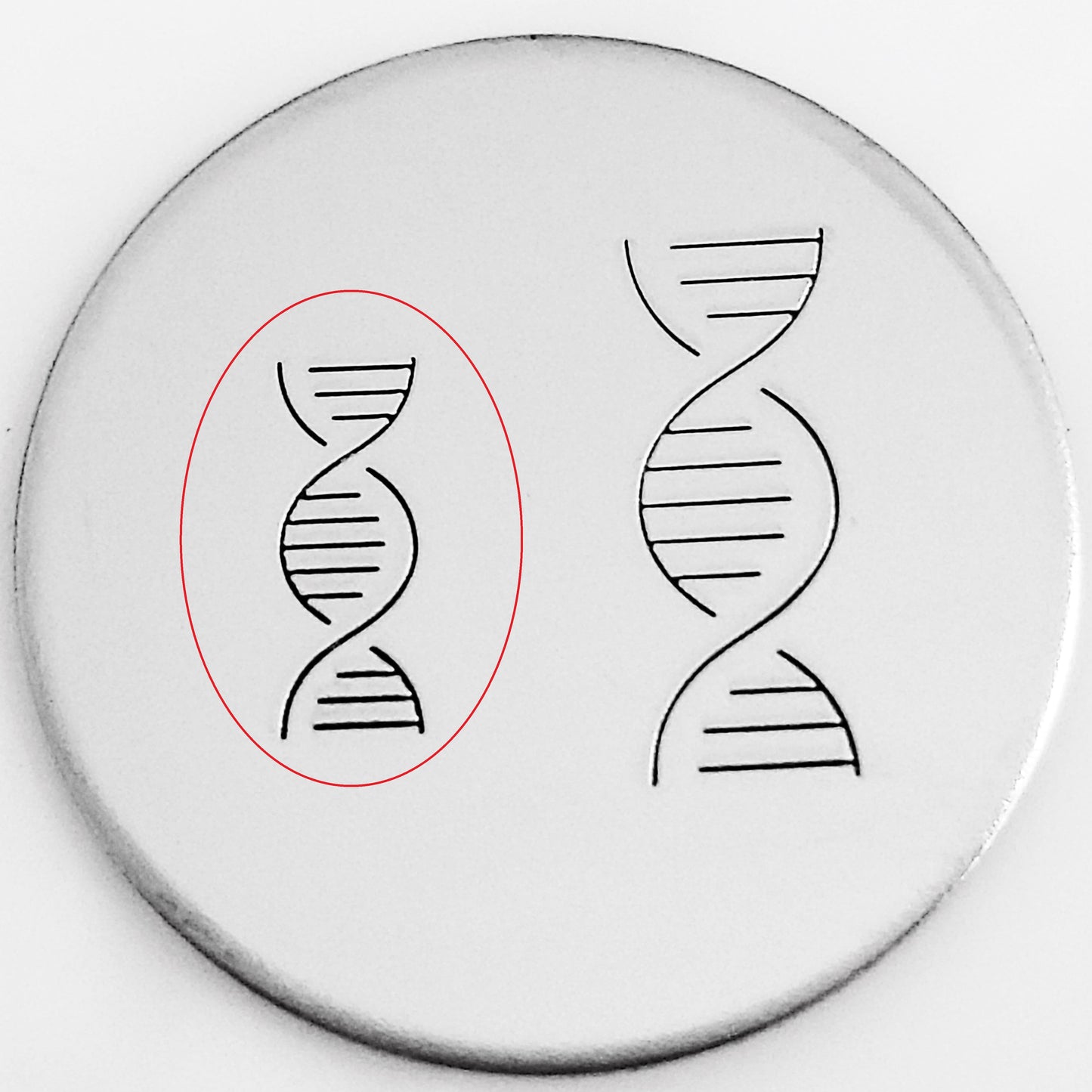 Double Helix DNA