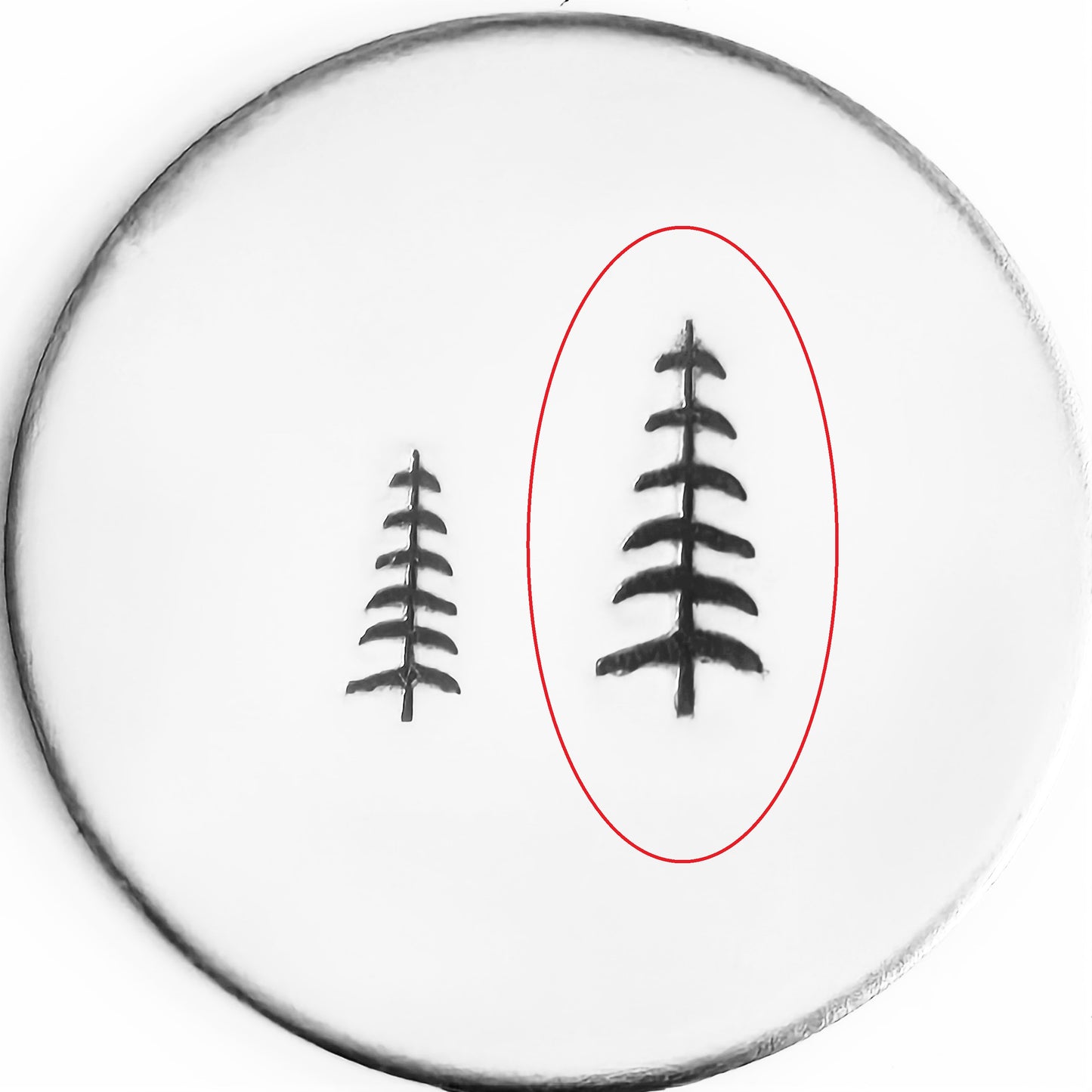 Evergreen #09