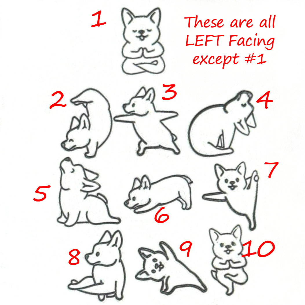 Yoga Dogs