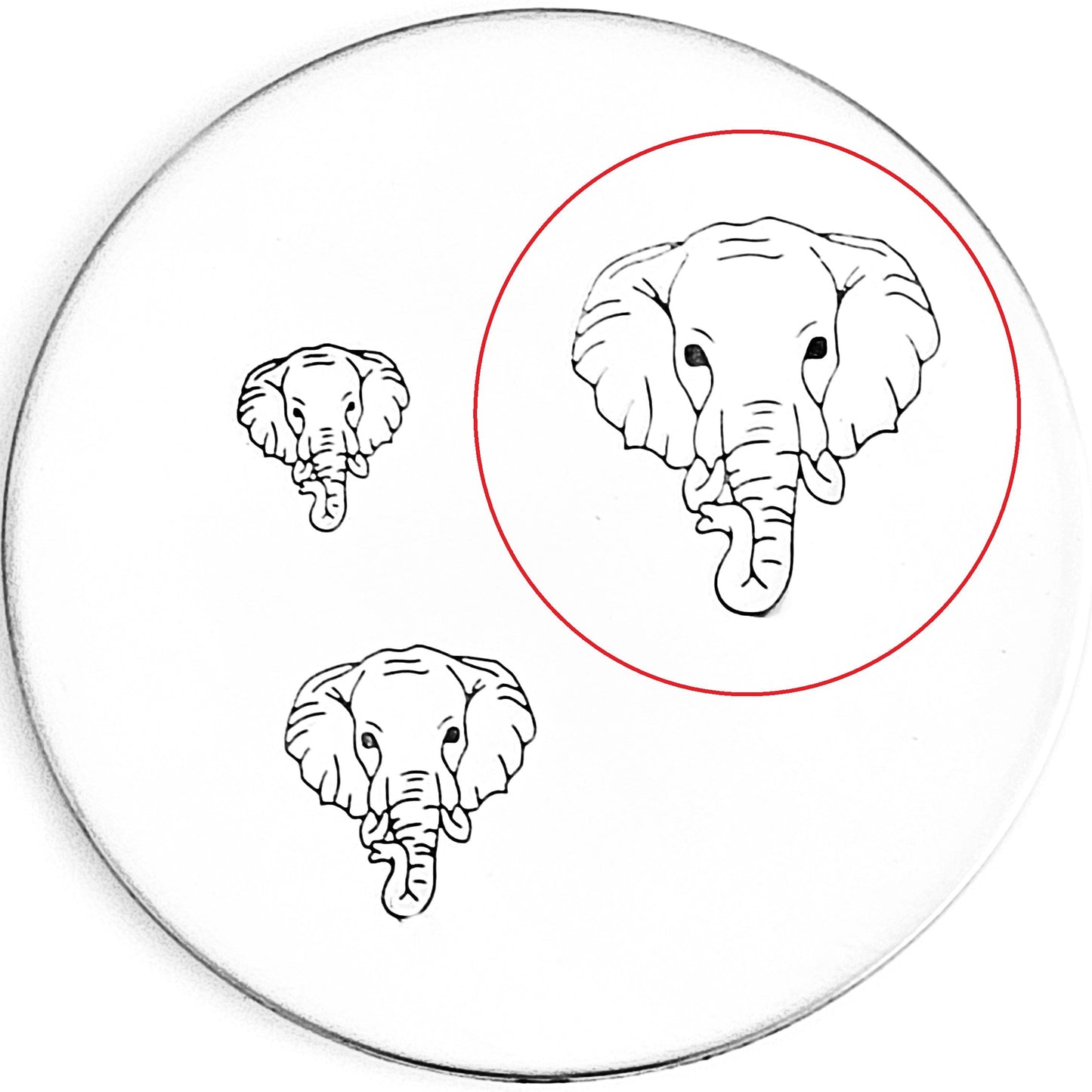 Elephant Head