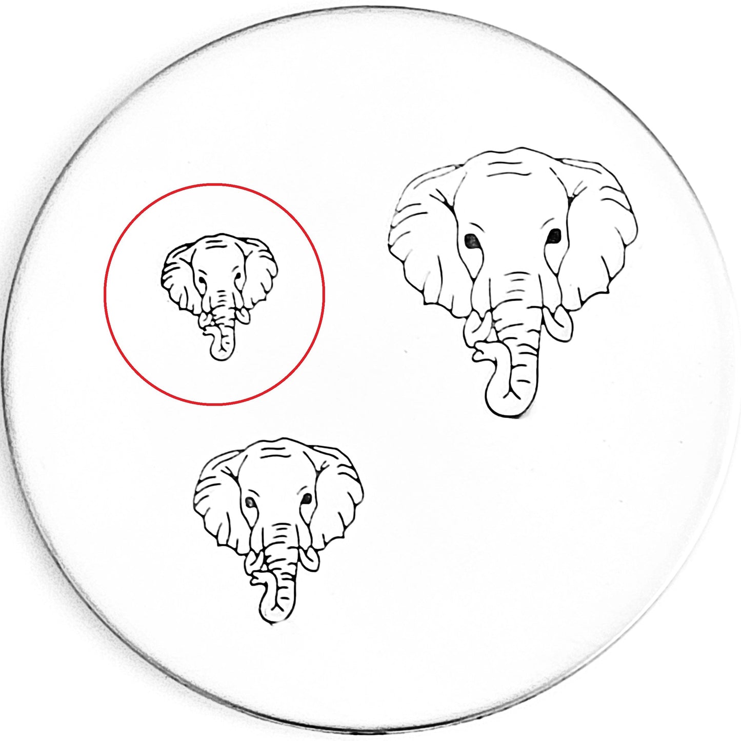 Elephant Head