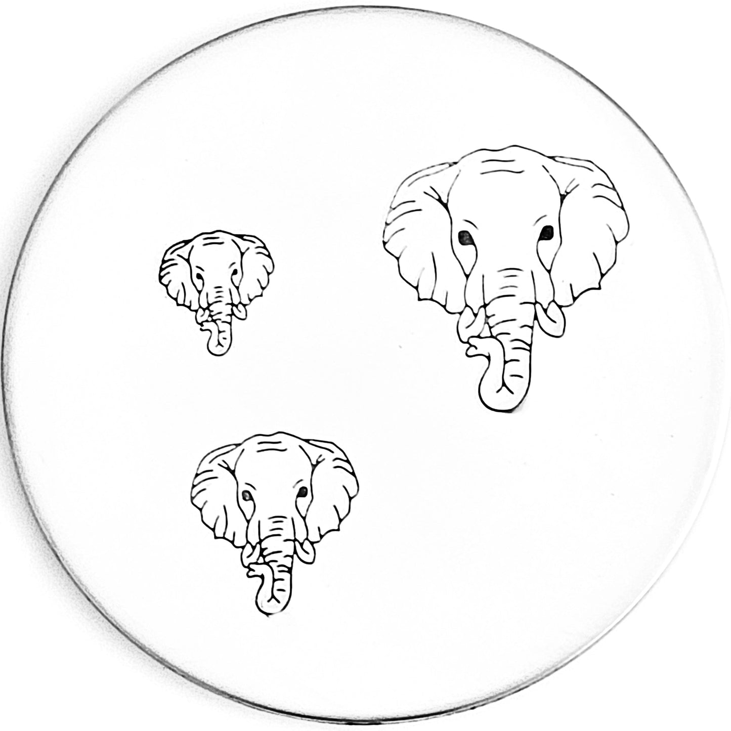 Elephant Head