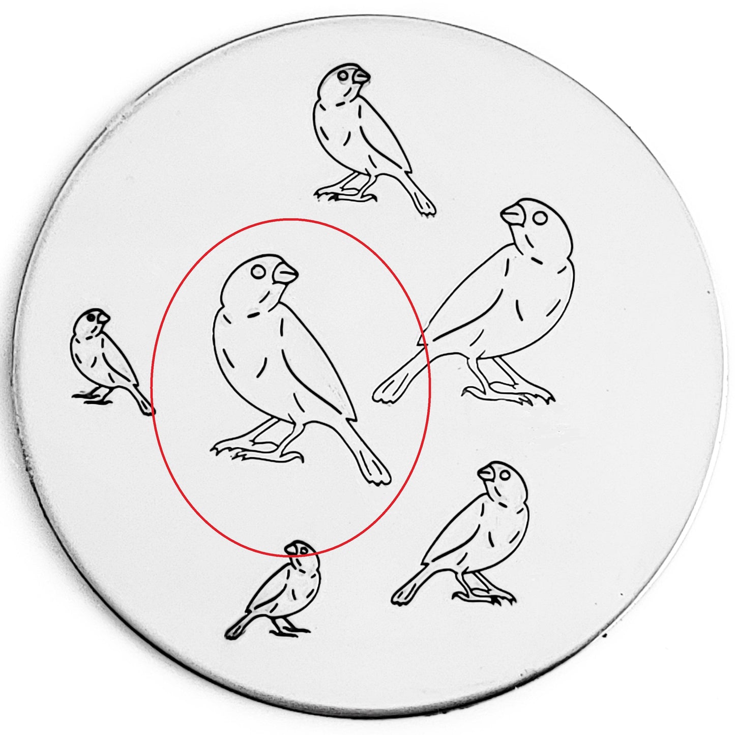 Finch