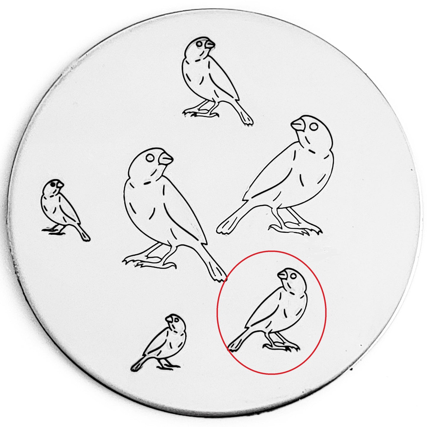 Finch