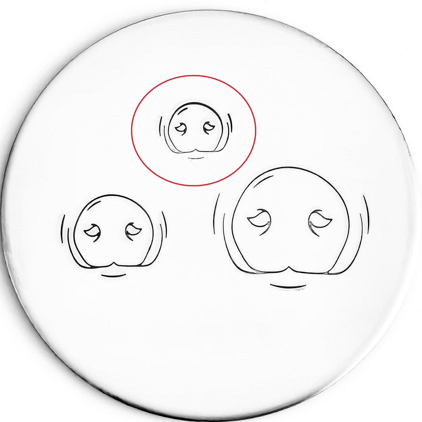 Face - Pig