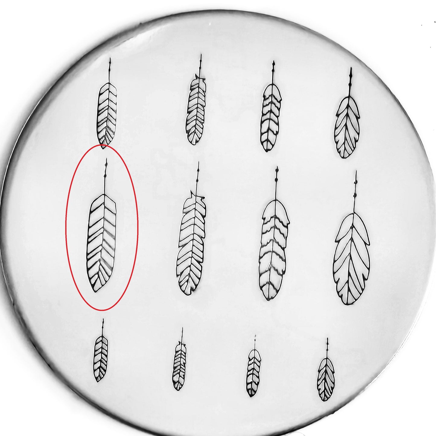 Feather #03