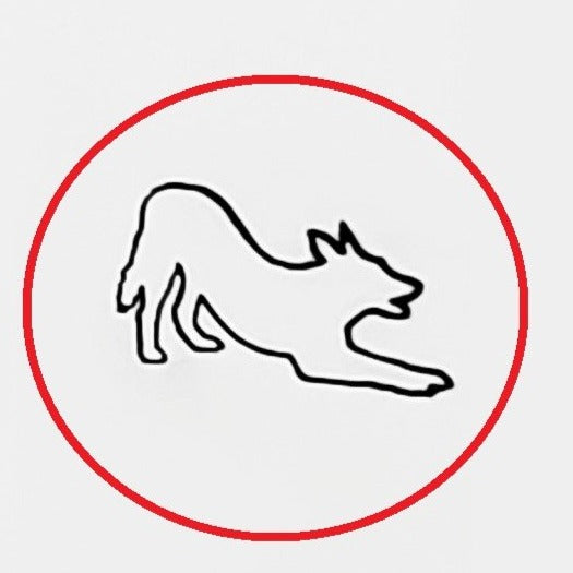 German Shepherd #02