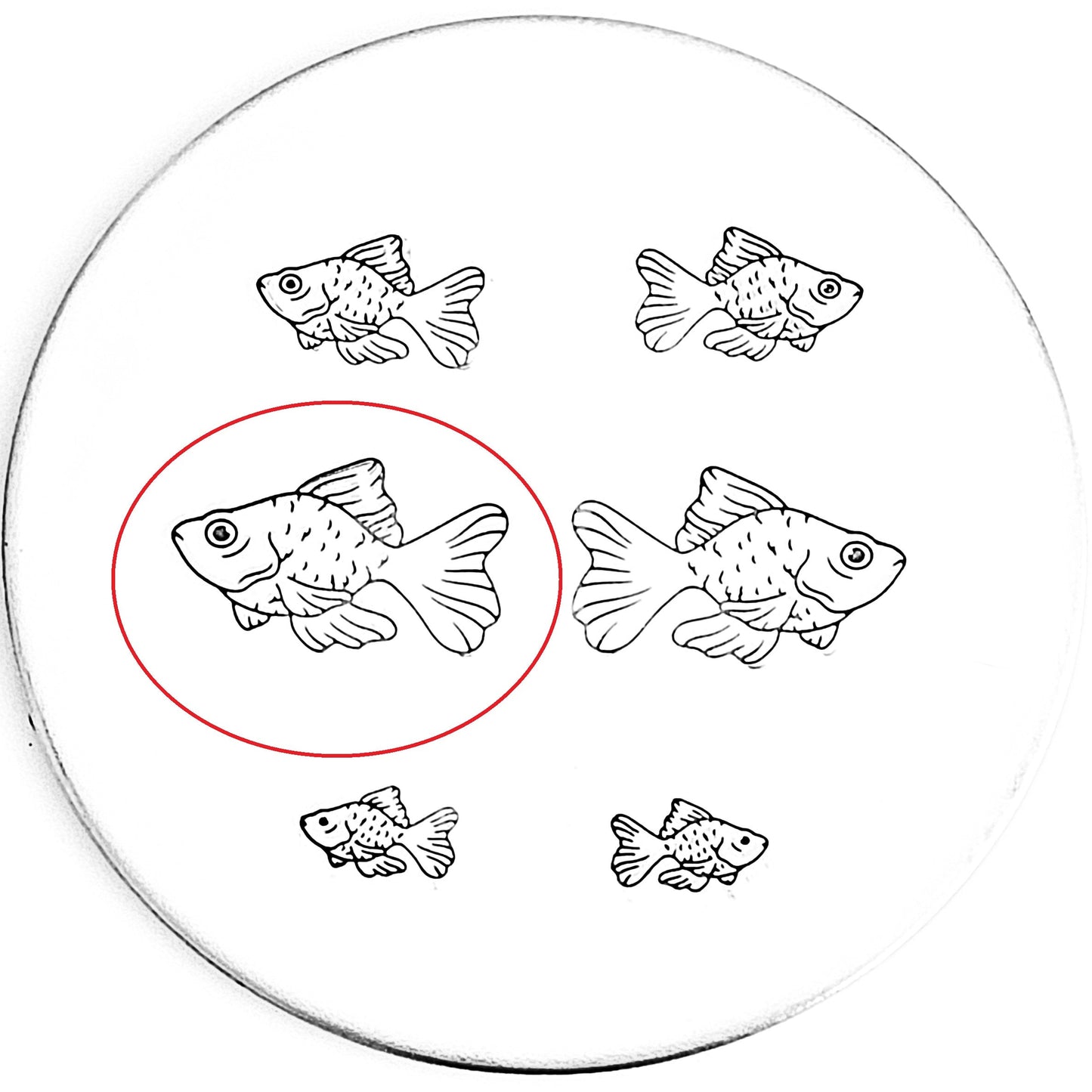 Goldfish #02
