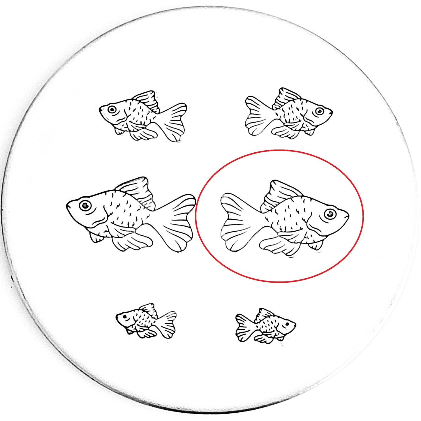 Goldfish #02