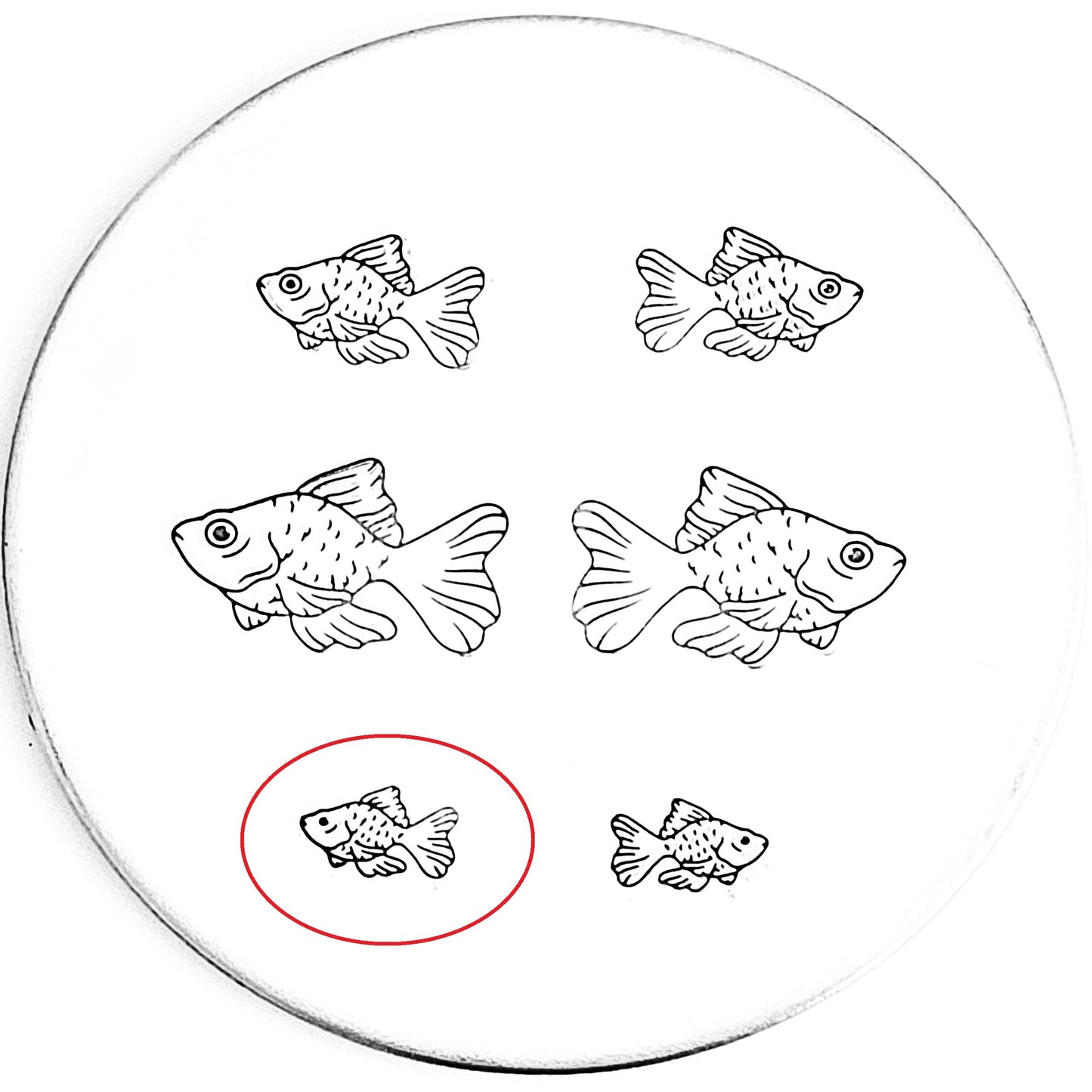 Goldfish #02