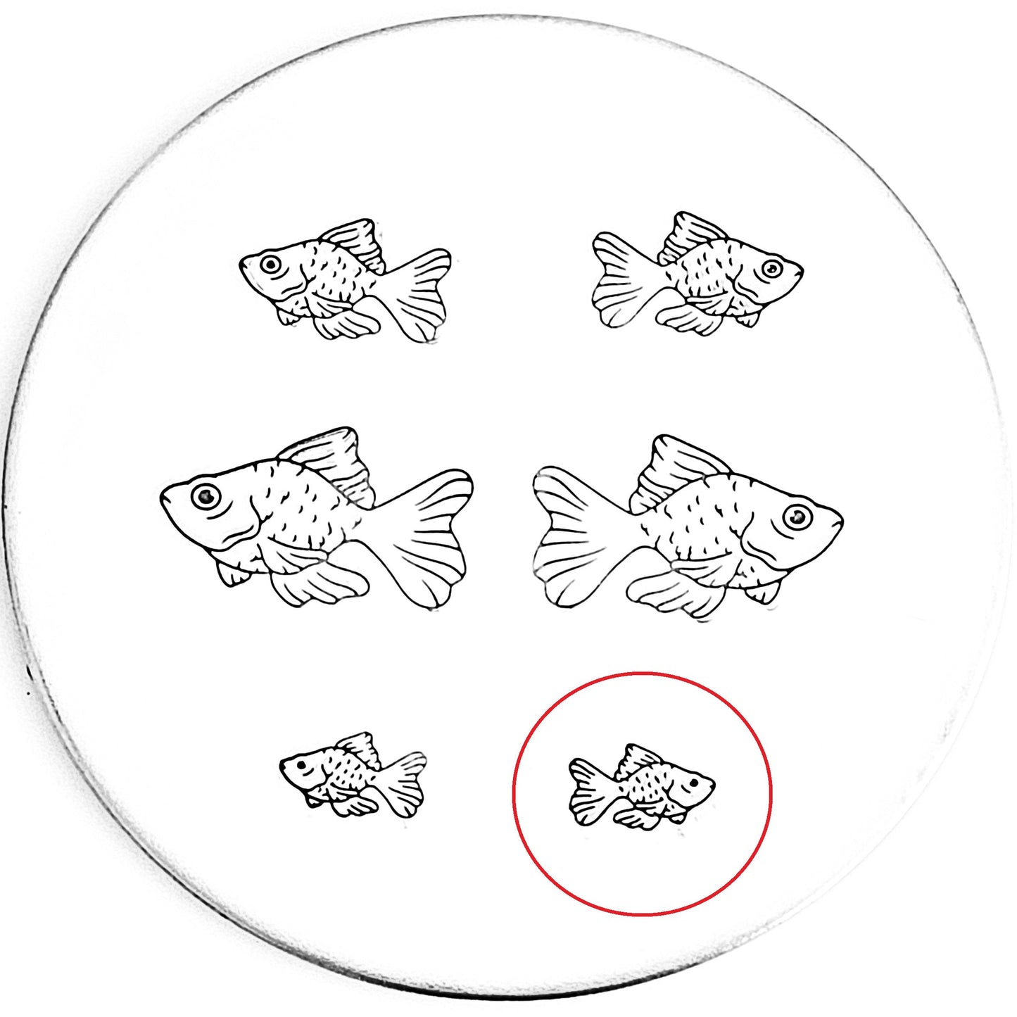 Goldfish #02
