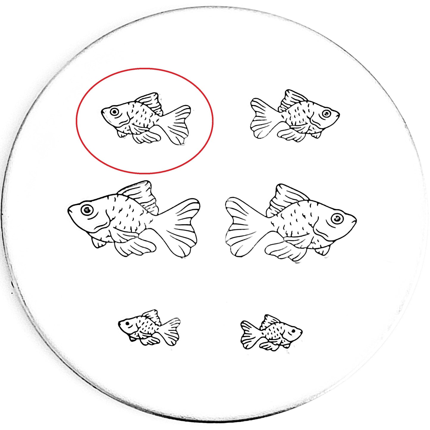 Goldfish #02