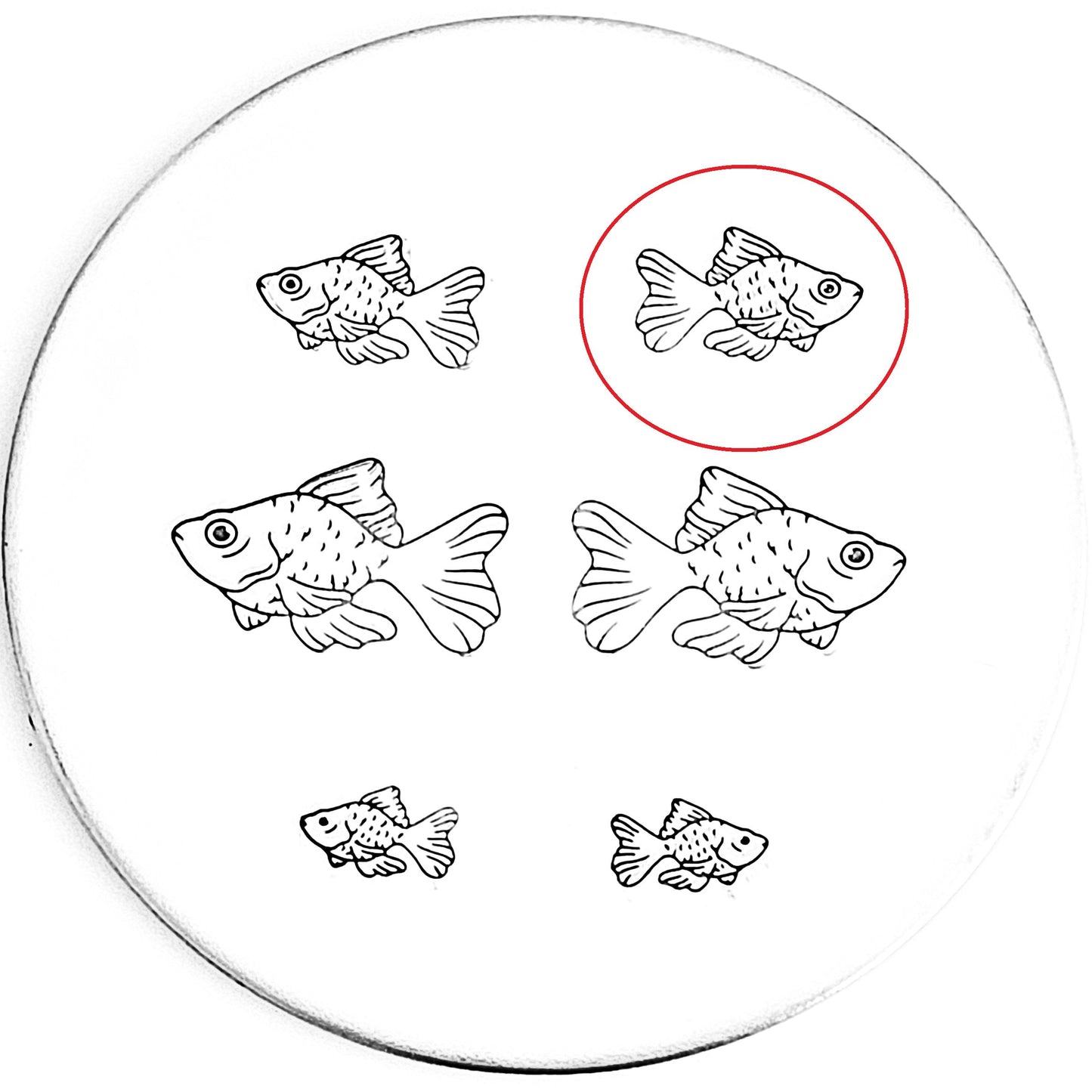 Goldfish #02
