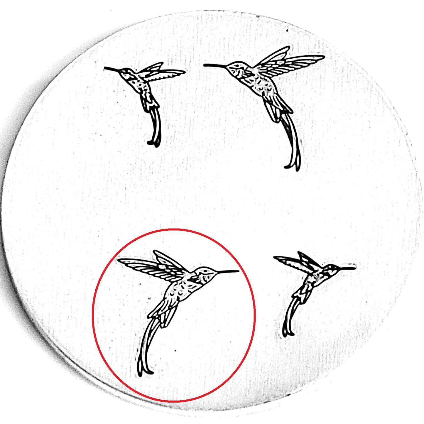 Hummingbirds