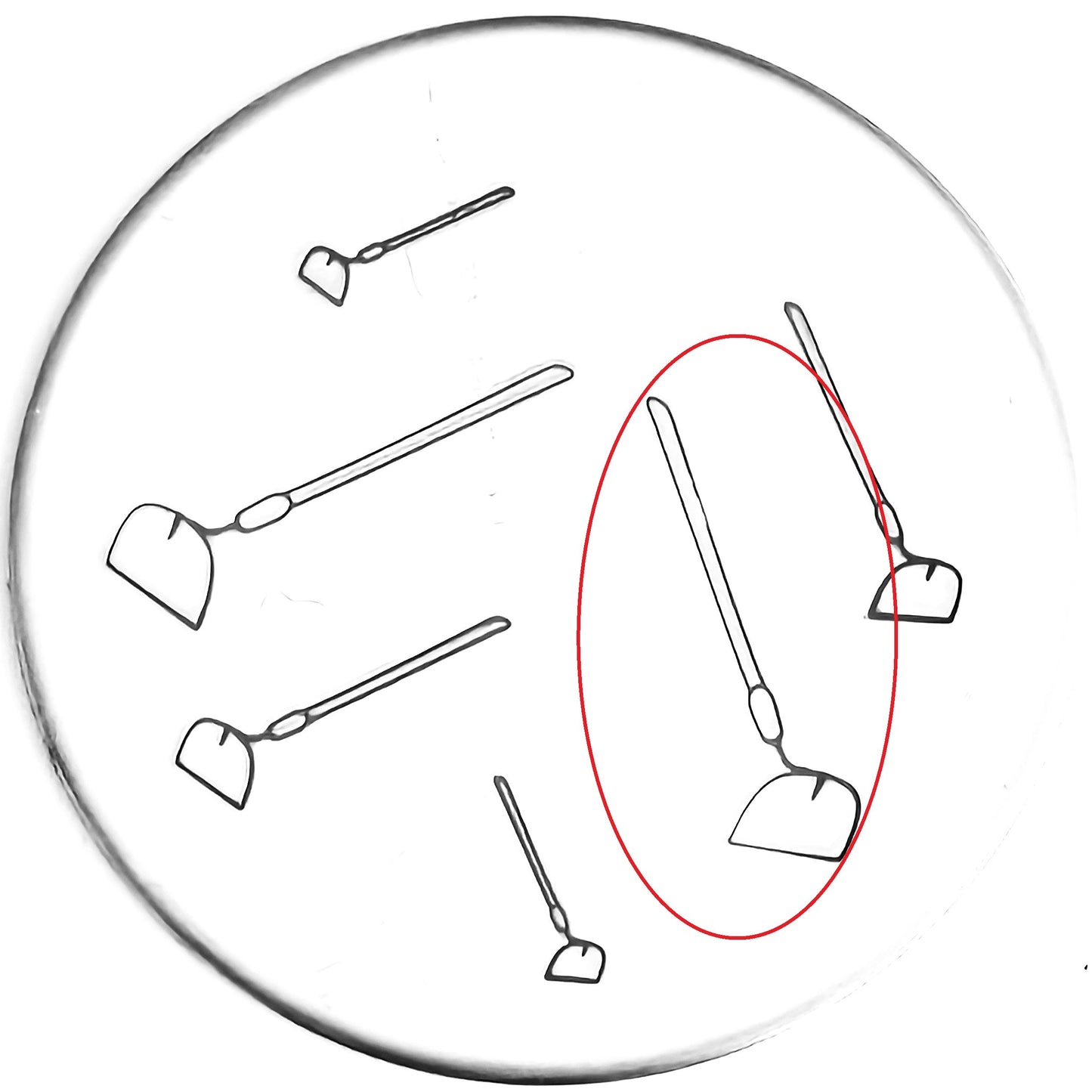 Hoe