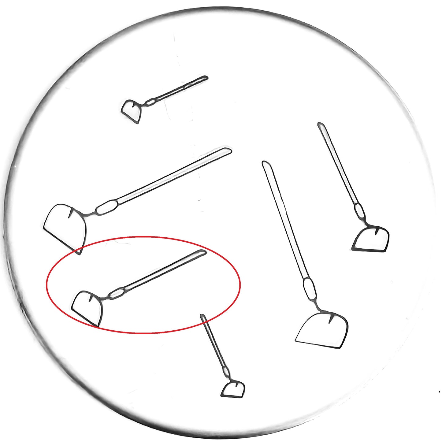 Hoe