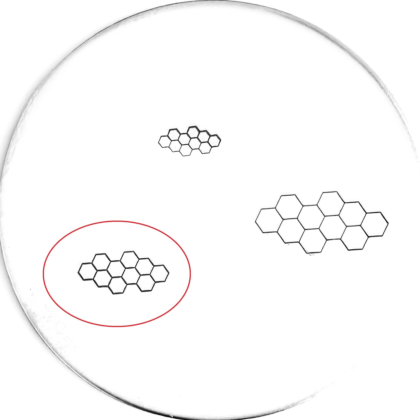 Honeycomb