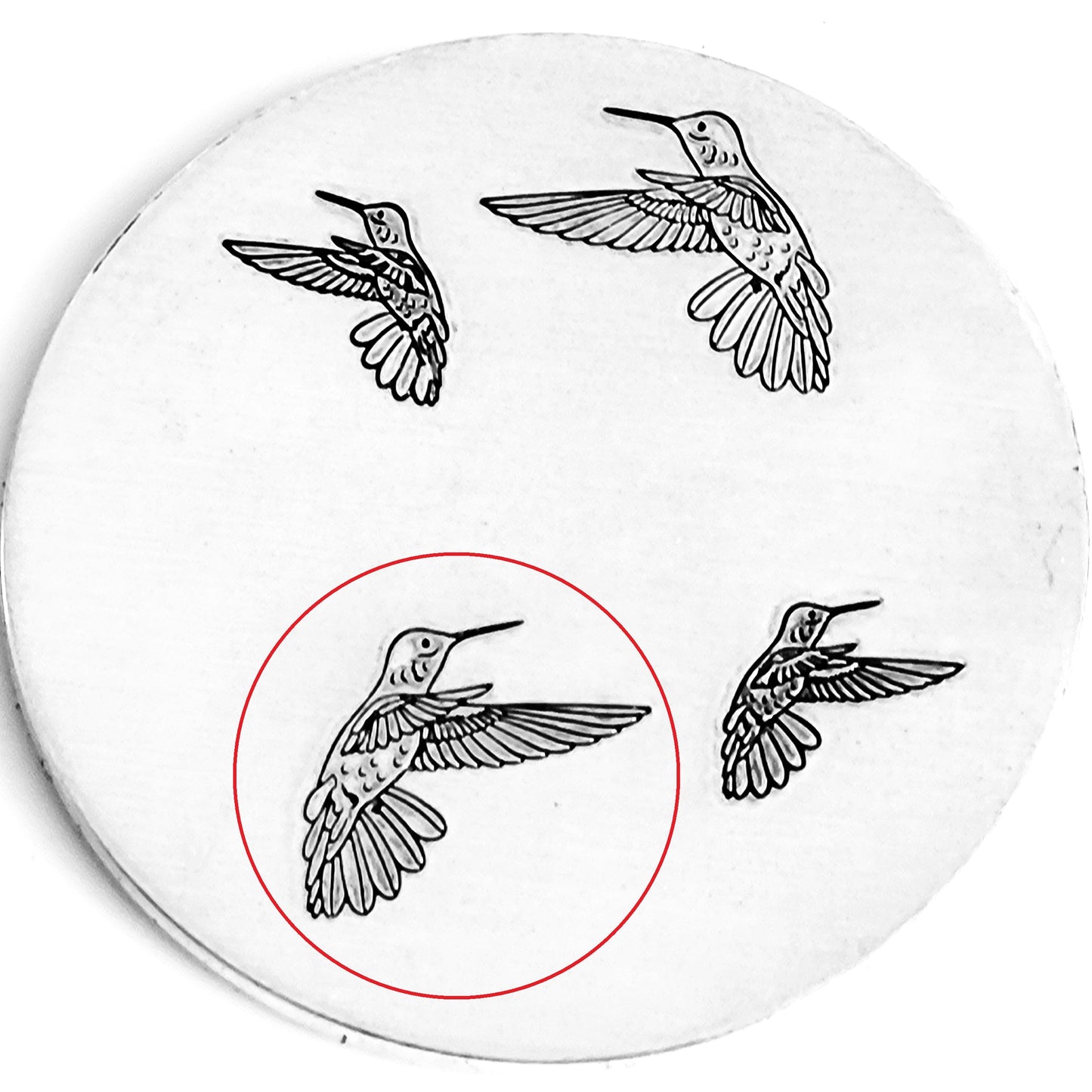 Hummingbirds
