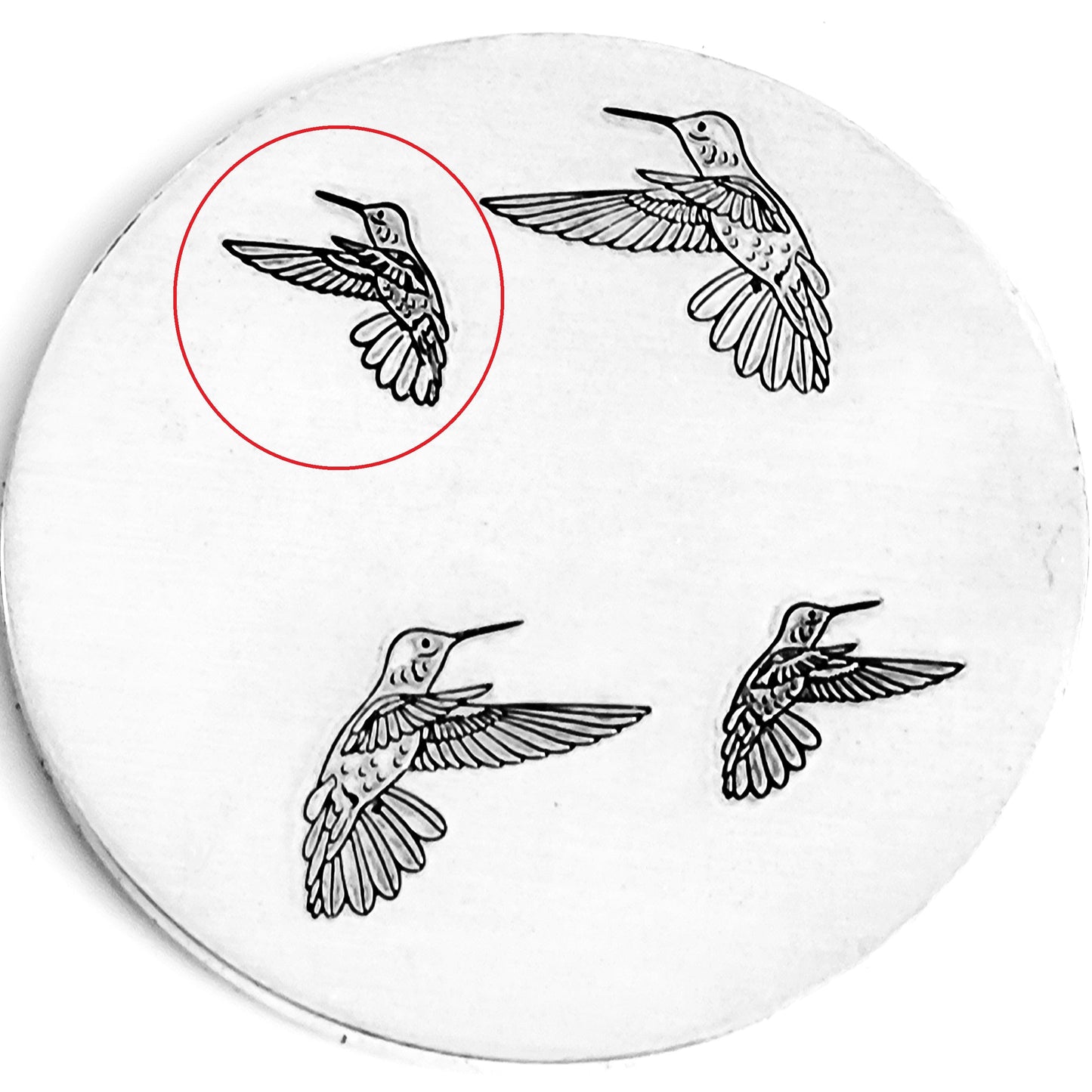 Hummingbirds