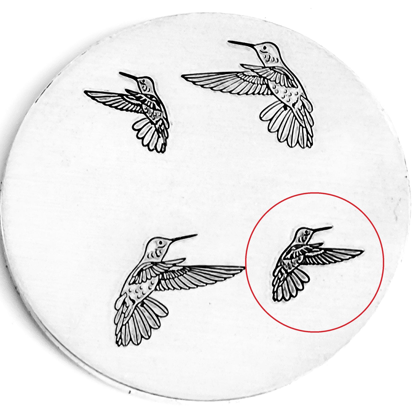 Hummingbirds