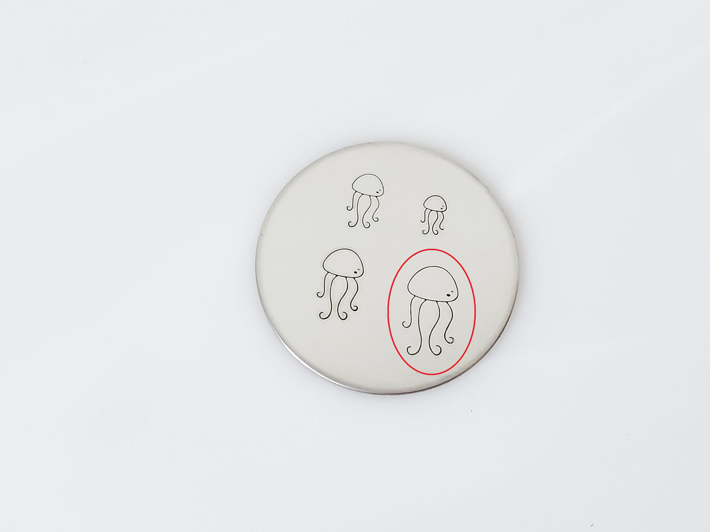 Jellyfish