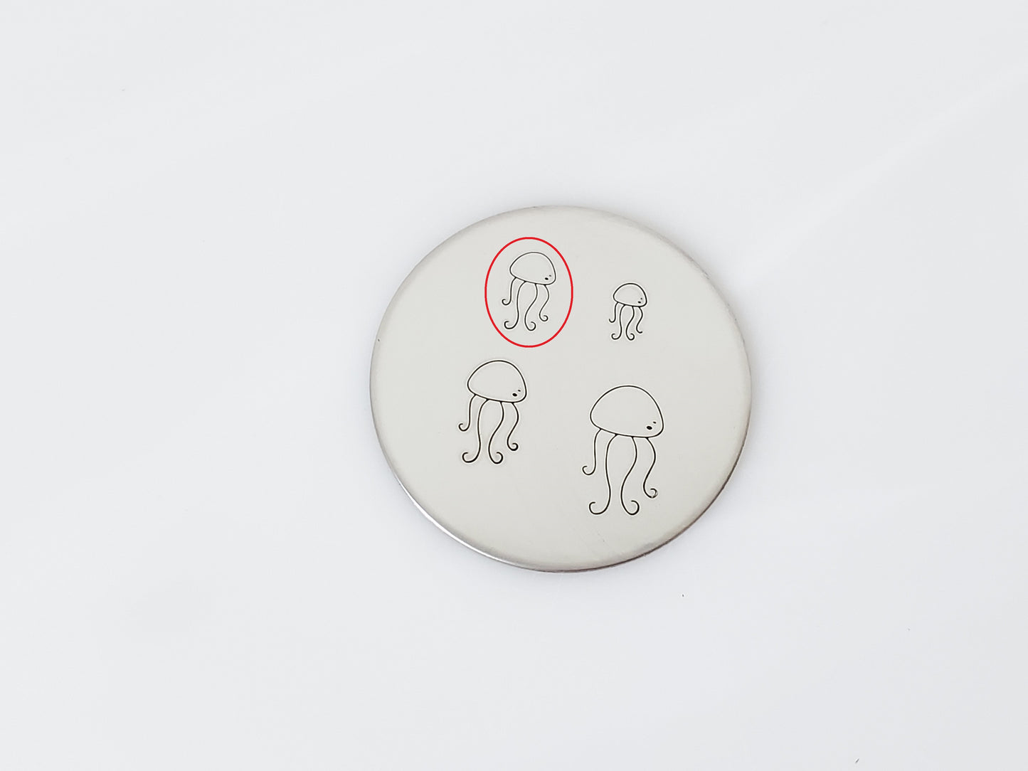 Jellyfish