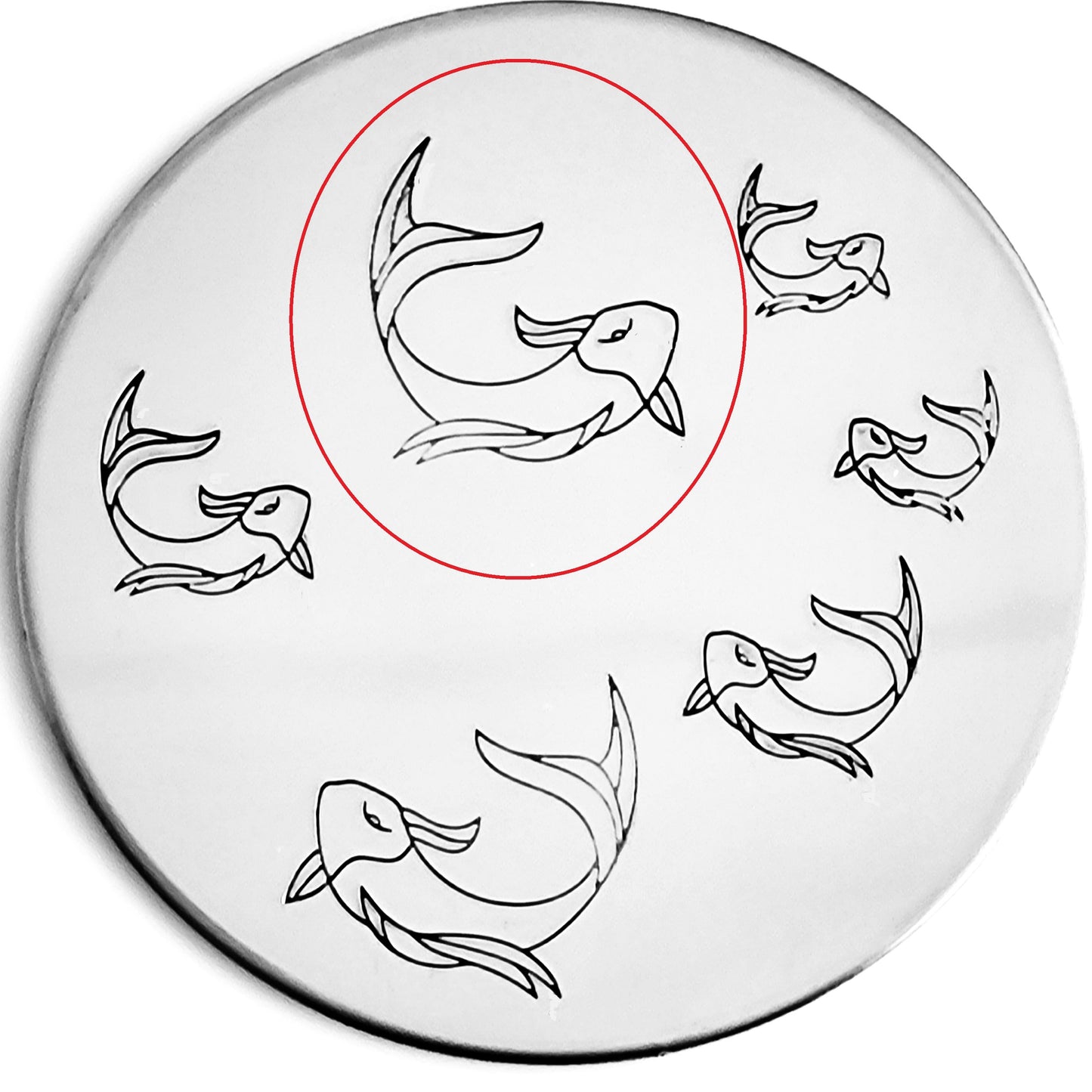 Koi