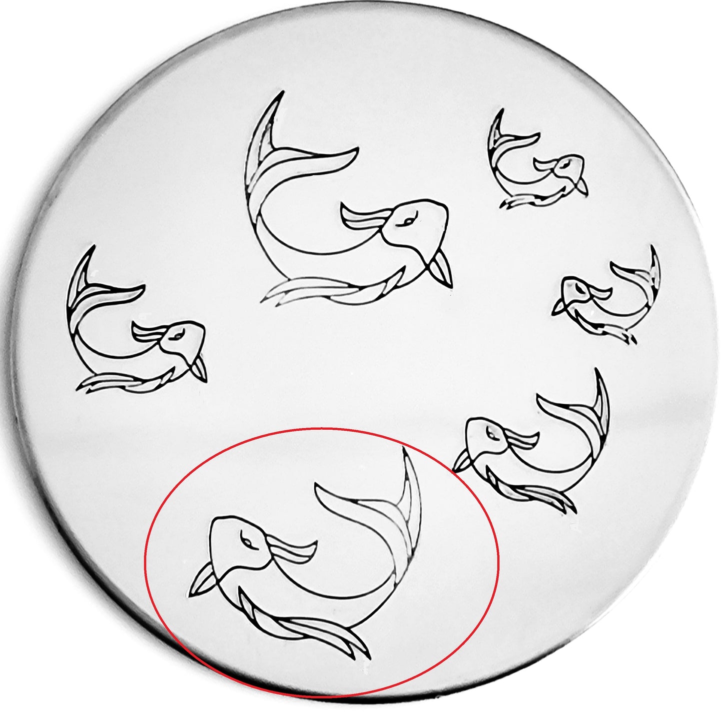 Koi