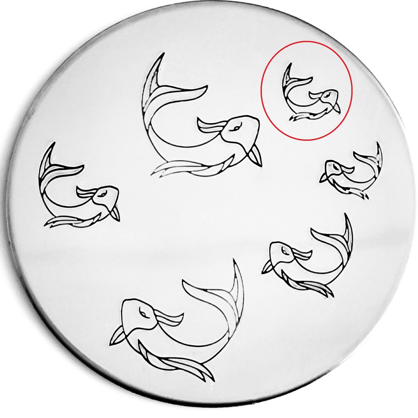 Koi