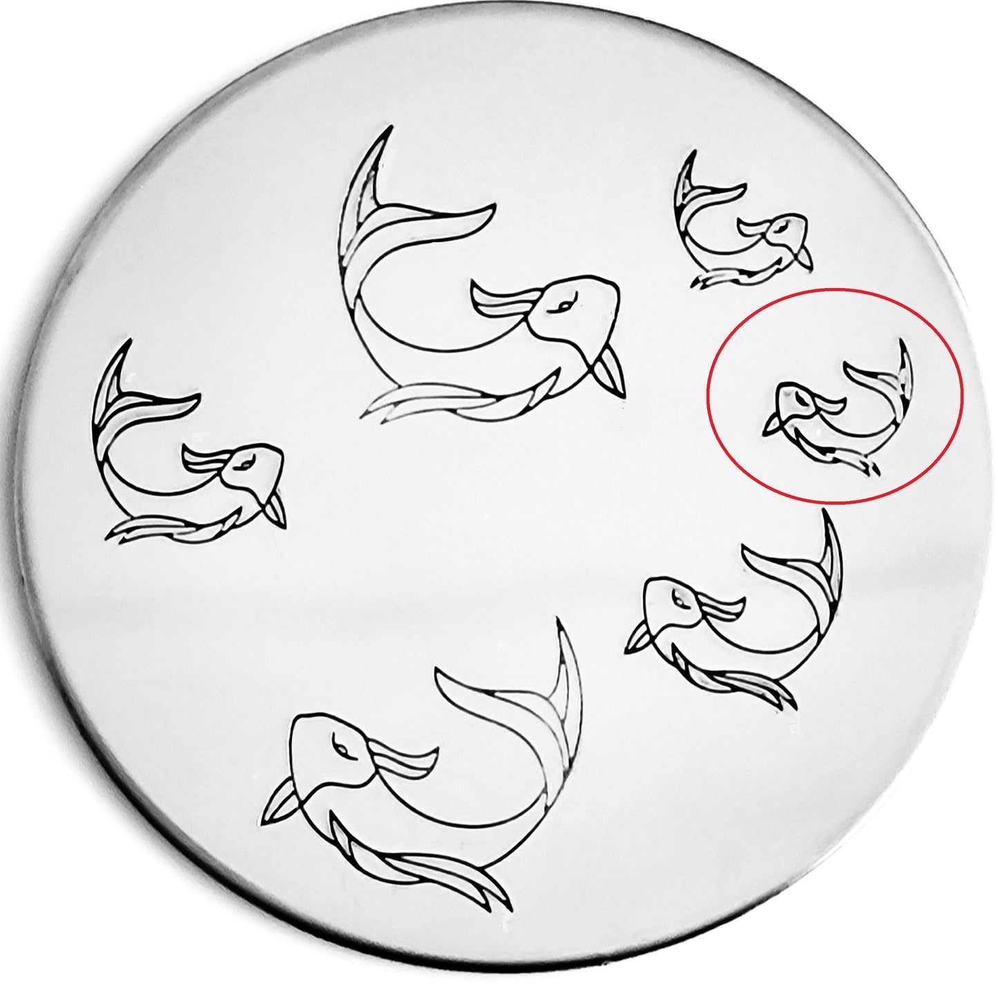 Koi
